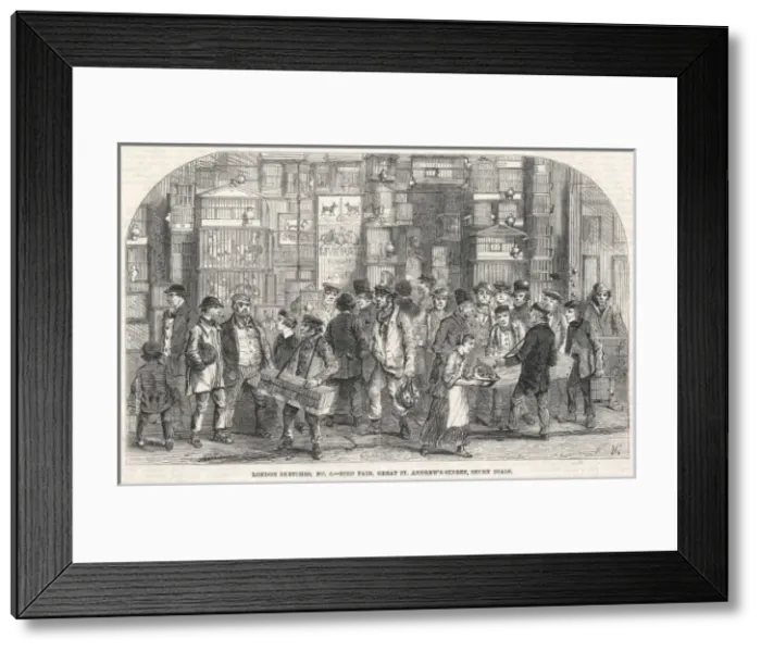 Framed Print : Seven Dials Bird Market Framed Print : Seven Dials Bird Market