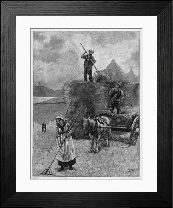 Framed Print : Harvesting Hay, Mull Framed Print : Harvesting Hay, Mull