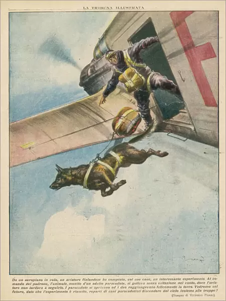 Parachuting Dog