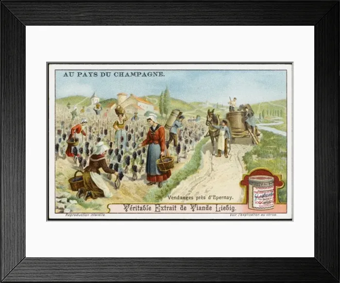 Framed Print : Champagne Production Framed Print : Champagne Production