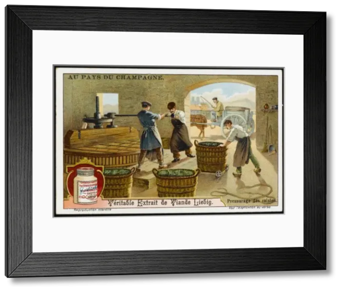 Framed Print : Champagne Liebig 3 Framed Print : Champagne Liebig 3