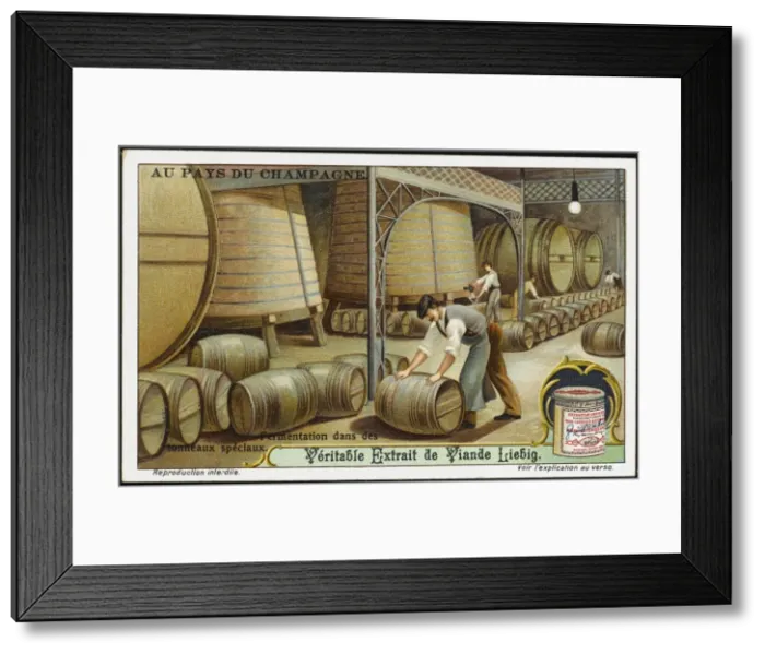 Framed Print : Champagne Liebig 4 Framed Print : Champagne Liebig 4