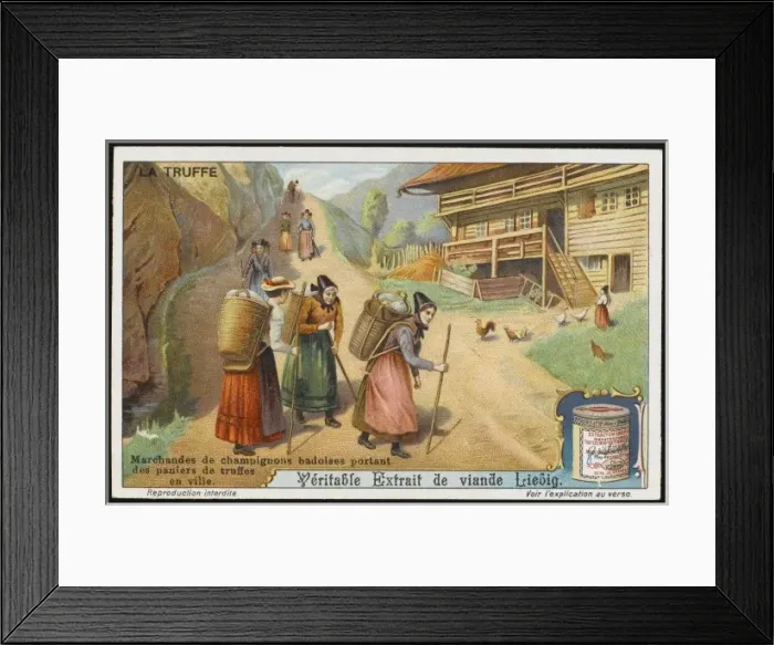 Framed Print : Truffles Liebig 3 Framed Print : Truffles Liebig 3