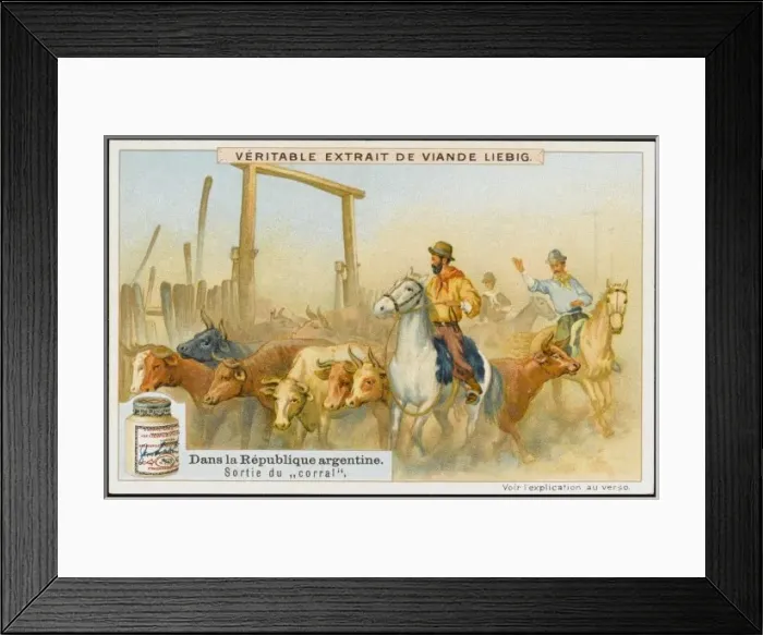 Framed Print : Argentine Cattle Drive Framed Print : Argentine Cattle Drive