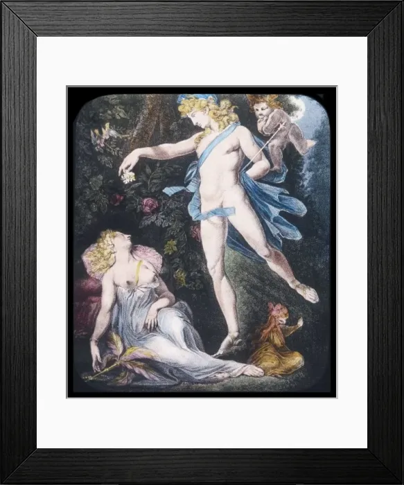 Framed Print : Gossip about Fairies 13 Framed Print : Gossip about Fairies 13