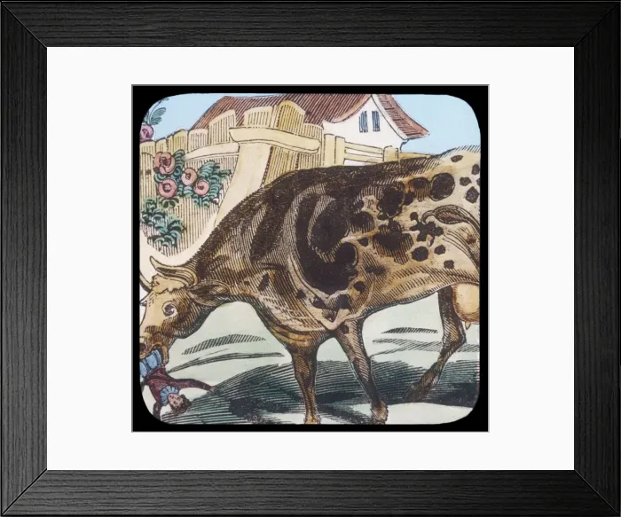 Framed Print : Gossip about Fairies 26 Framed Print : Gossip about Fairies 26