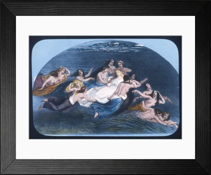 Framed Print : Gossip about Fairies 37
