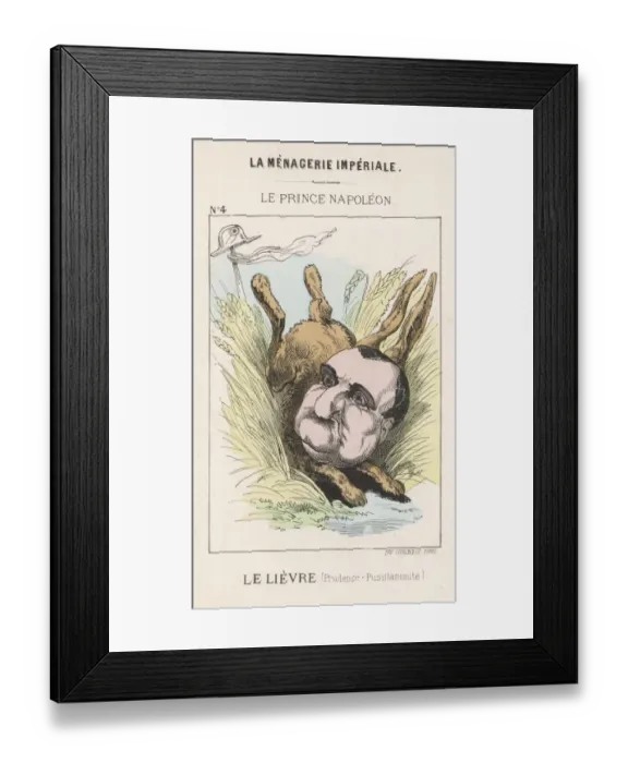 Framed Print : J C P Prince Bonaparte Framed Print : J C P Prince Bonaparte