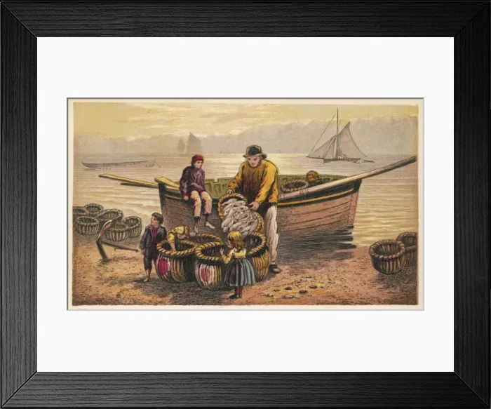 Framed Print : Unloading the Catch Framed Print : Unloading the Catch