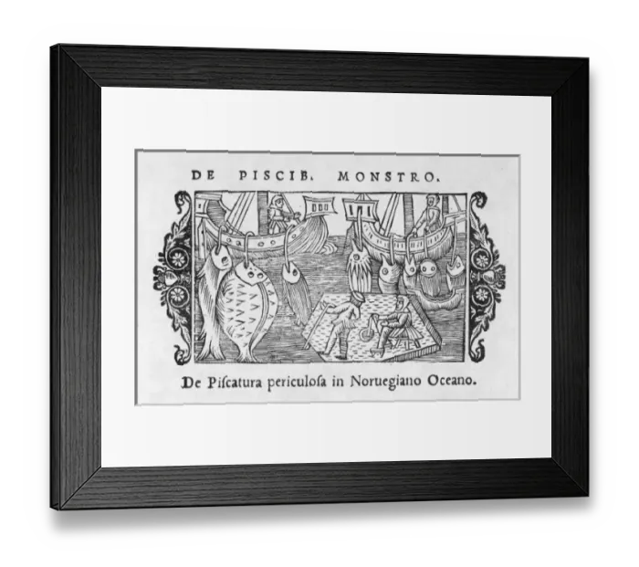 Framed Print : Fishing / Norway / Dangers Framed Print : Fishing / Norway / Dangers