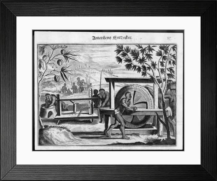 Framed Print : Processing Cocoa Beans Framed Print : Processing Cocoa Beans
