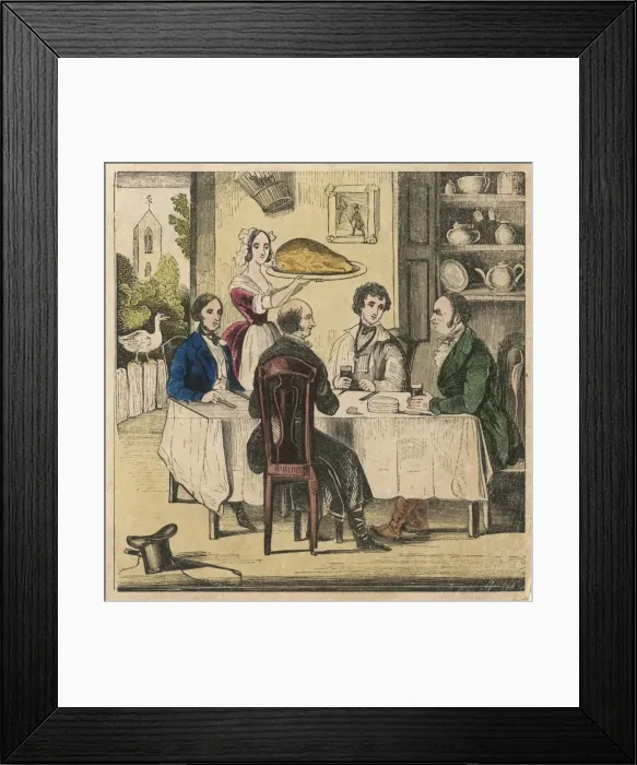 Framed Print : Goose Series (4 of 4) Framed Print : Goose Series (4 of 4)
