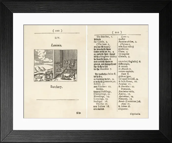 Framed Print : Butchery & Preservation Framed Print : Butchery & Preservation