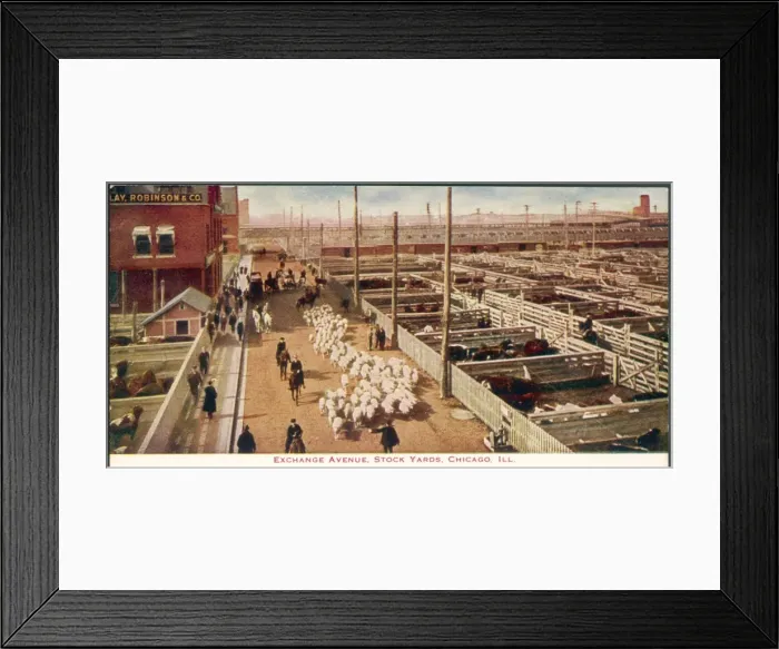 Framed Print : Chicago Stockyards Framed Print : Chicago Stockyards