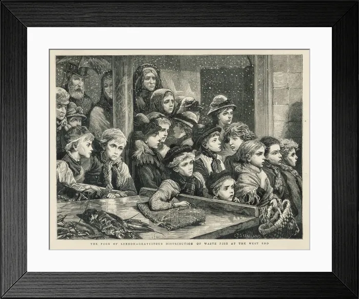 Framed Print : Fishy Handouts Framed Print : Fishy Handouts