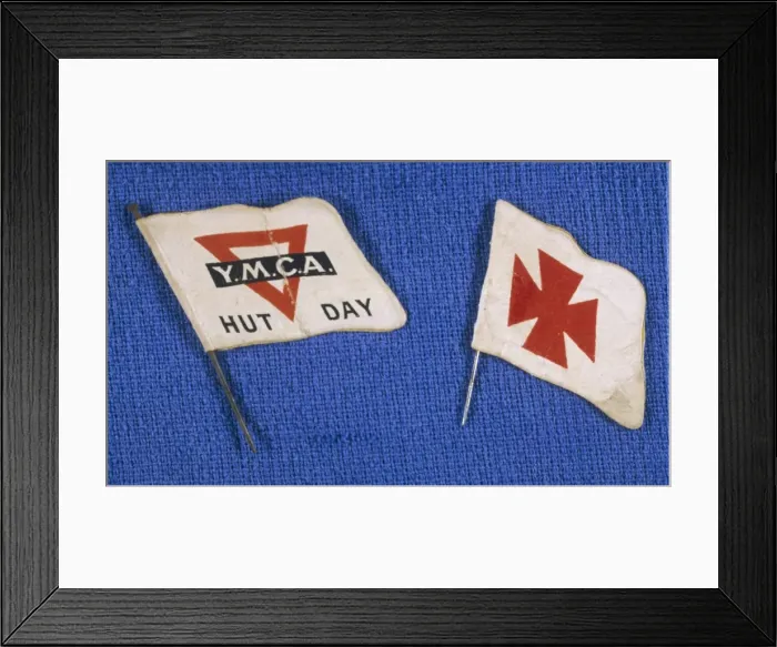 Framed Print : Flag Day Flags Framed Print : Flag Day Flags