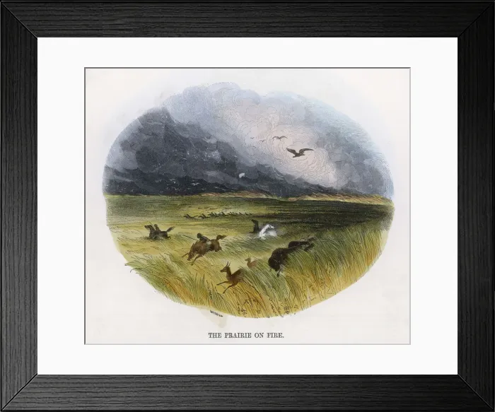 Framed Print : Prairie Fire in America Framed Print : Prairie Fire in America
