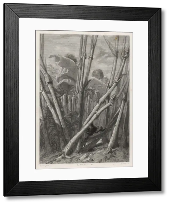 Framed Print : Gulliver / Brobdingnag Framed Print : Gulliver / Brobdingnag