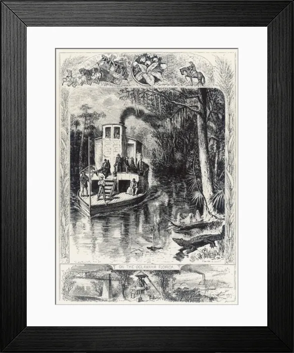 Framed Print : Florida Swamp / Steamer Framed Print : Florida Swamp / Steamer