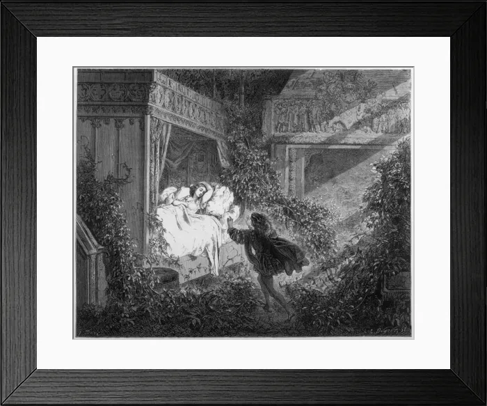 Framed Print : Sleeping Beauty - 4 Framed Print : Sleeping Beauty - 4