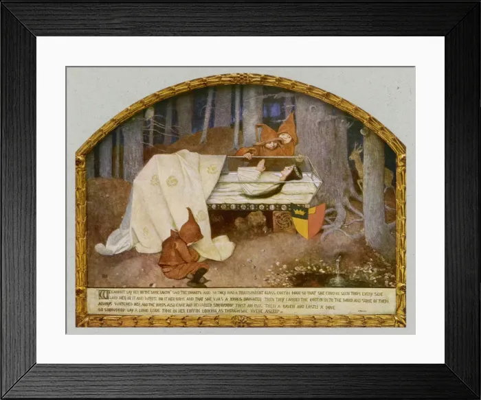 Framed Print : Snow White Encoffined Framed Print : Snow White Encoffined