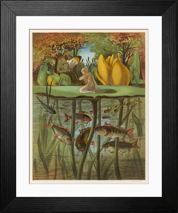 Framed Print : Thumbkinetta Framed Print : Thumbkinetta