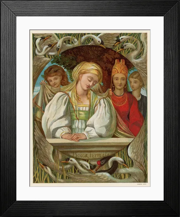 Framed Print : The Six Swans Boyle Framed Print : The Six Swans Boyle