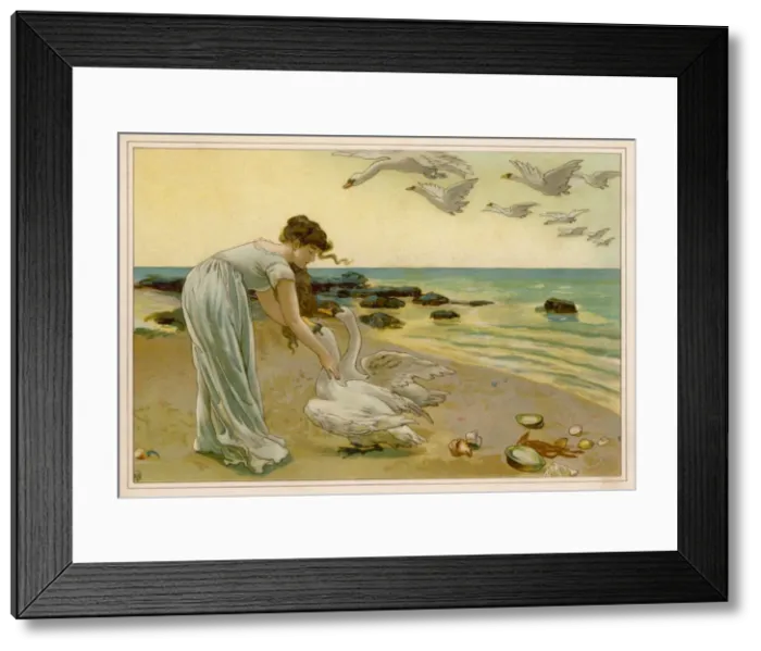 Framed Print : The Six Swans Havers Framed Print : The Six Swans Havers