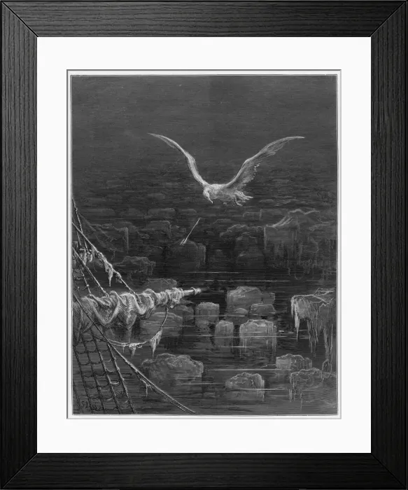 Framed Print : Mariner, Albatross Shot Framed Print : Mariner, Albatross Shot