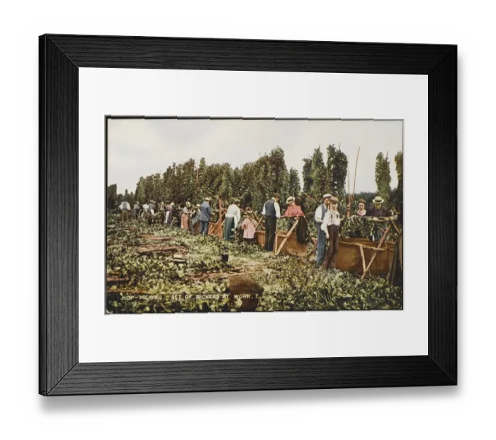 Framed Print : Hop Pickers at Work Framed Print : Hop Pickers at Work
