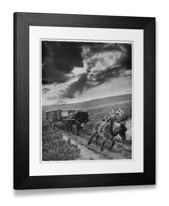 Framed Print : Champagne Vintage Time Framed Print : Champagne Vintage Time