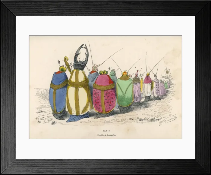 Framed Print : Beetle Procession Framed Print : Beetle Procession