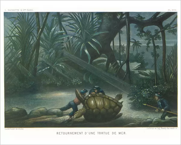 Hunting Turtles  /  1865