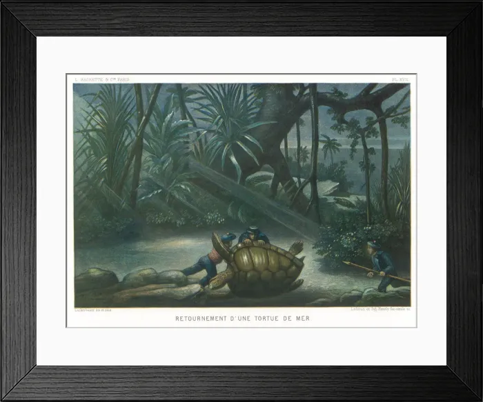 Framed Print : Hunting Turtles / 1865 Framed Print : Hunting Turtles / 1865