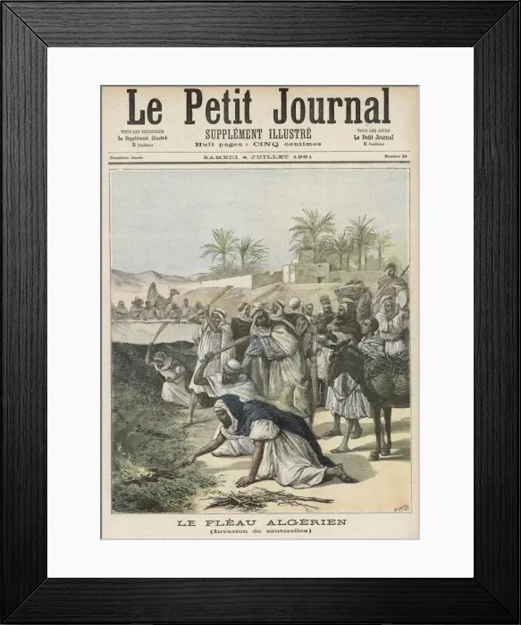 Framed Print : Locust Plague Algeria Framed Print : Locust Plague Algeria