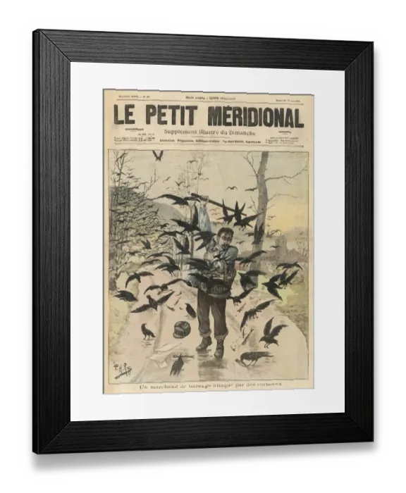 Framed Print : Fish Peddler Attacked Framed Print : Fish Peddler Attacked