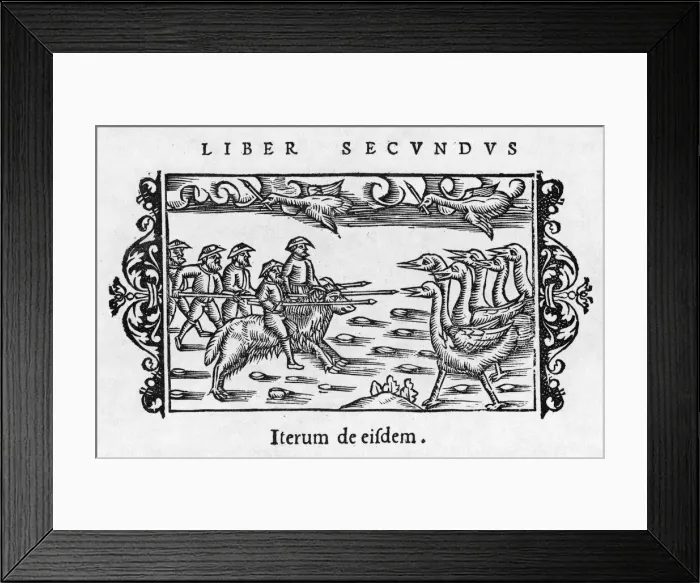 Framed Print : Pygmies and Big Birds Framed Print : Pygmies and Big Birds