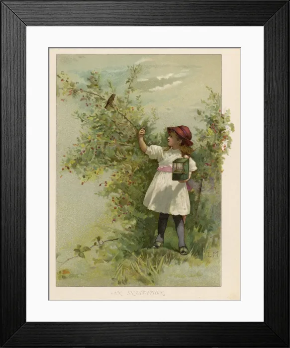 Framed Print : Robin Refuses Cage Life Framed Print : Robin Refuses Cage Life