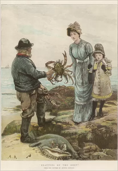 Man Catches Crab  /  1882