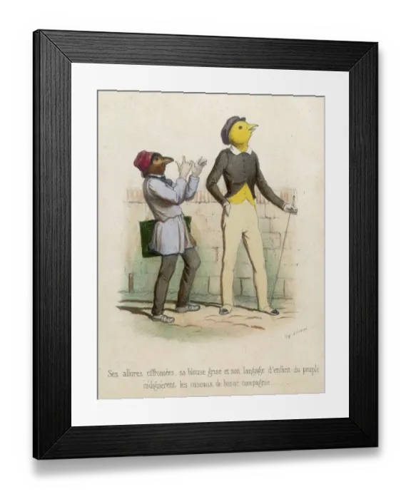 Framed Print : A Cheeky Chick Framed Print : A Cheeky Chick