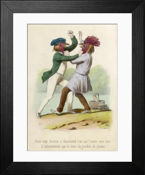 Framed Print : Fighting Cocks Framed Print : Fighting Cocks