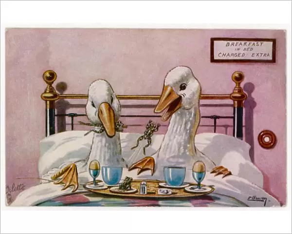 Geese in Bed