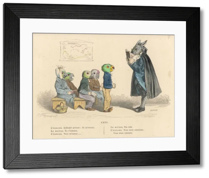 Framed Print : Learning, Parrot Fashion Framed Print : Learning, Parrot Fashion