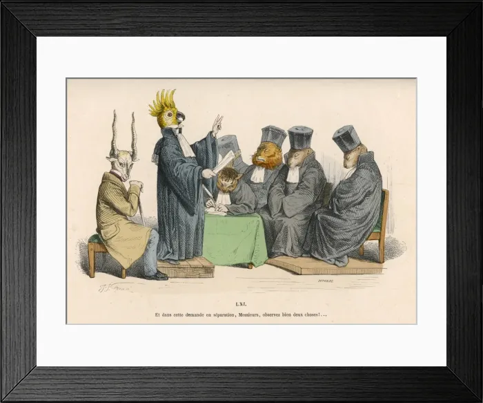 Framed Print : Parrot Lays down Law Framed Print : Parrot Lays down Law