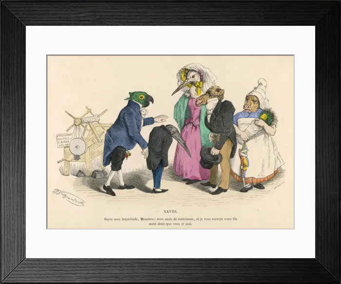 Framed Print : Medical Help for Bird