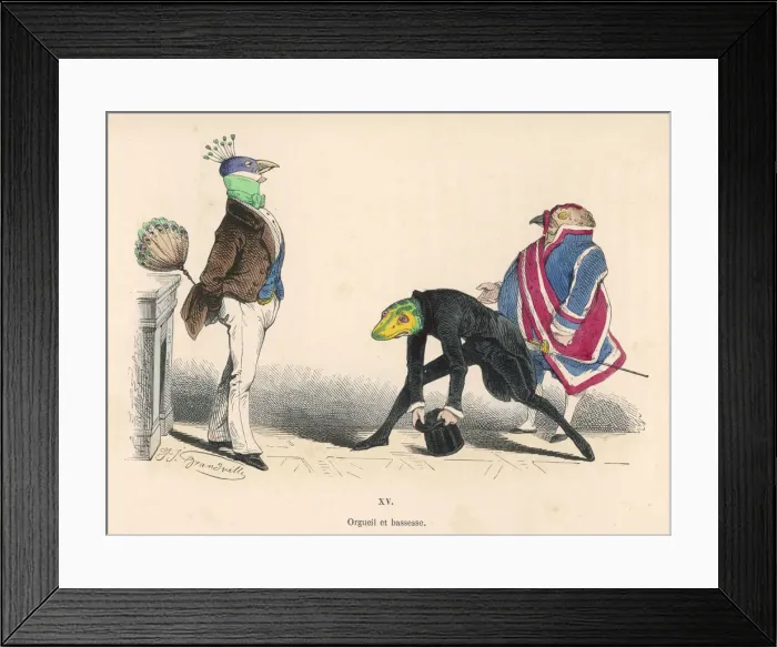 Framed Print : Peacock and Lizard Framed Print : Peacock and Lizard