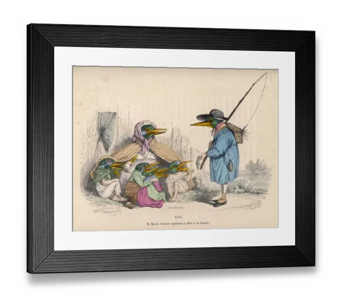 Framed Print : Unsuccessful Fisherbird Framed Print : Unsuccessful Fisherbird