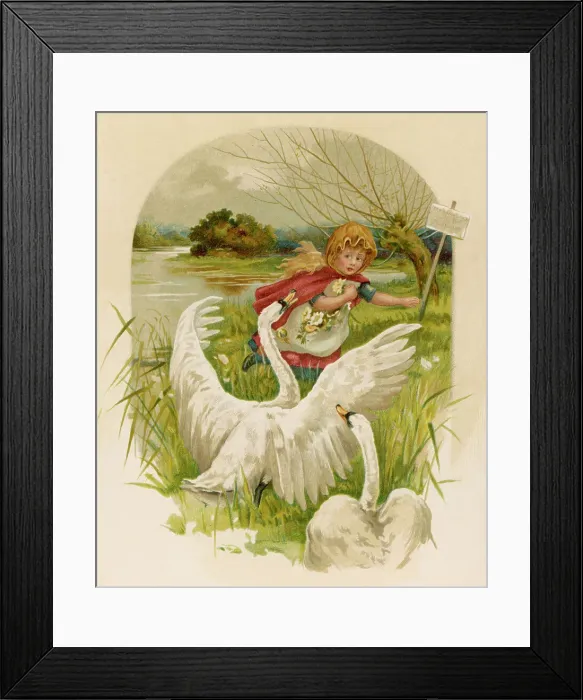 Framed Print : Girl Flees Swans Framed Print : Girl Flees Swans