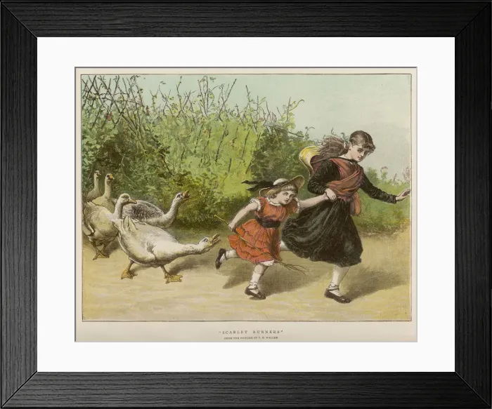 Framed Print : Pursued by Geese Framed Print : Pursued by Geese