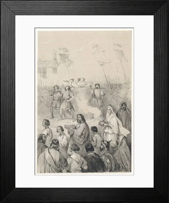 Framed Print : Geese Honoured by Rome Framed Print : Geese Honoured by Rome